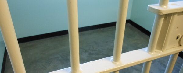 Prison bars Prison bars - Sputnik International