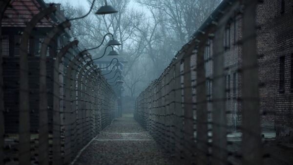 A general view of the former German Nazi concentration and extermination camp Auschwitz in Oswiecim - Sputnik International
