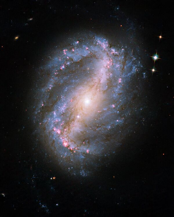 Barred spiral galaxy NGC 6217 - Sputnik International