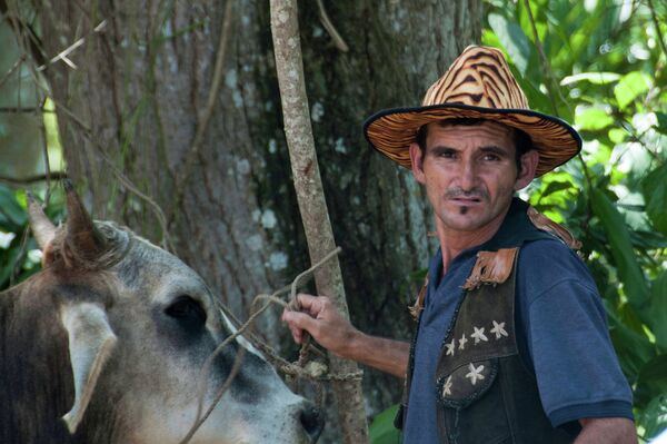 Farmer in Cuba Farmer in Cuba - Sputnik International