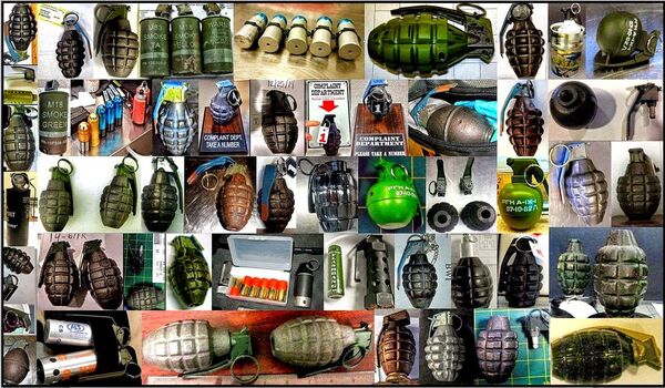 ver 140 inert/novelty hand grenades were discovered in 2014 in both checked and carry-on bags. - Sputnik International