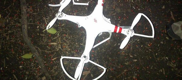 This photo provided by the US Secret Service shows the drone that crashed onto the White House grounds. This photo provided by the US Secret Service shows the drone that crashed onto the White House grounds. - Sputnik International