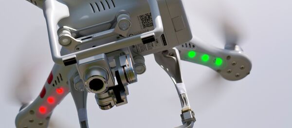 An intelligence staffer who had been drinking on Sunday night lost control of a small DJI Phantom 1 drone, crashing it into the White House lawn. He reported himself to the Secret Service on Monday morning. An intelligence staffer who had been drinking on Sunday night lost control of a small DJI Phantom 1 drone, crashing it into the White House lawn. He reported himself to the Secret Service on Monday morning. - Sputnik International