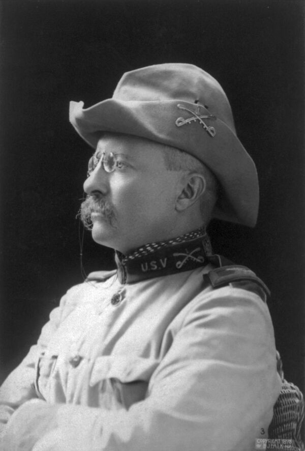 13 Things You May Not Know About Teddy Roosevelt - Sputnik International