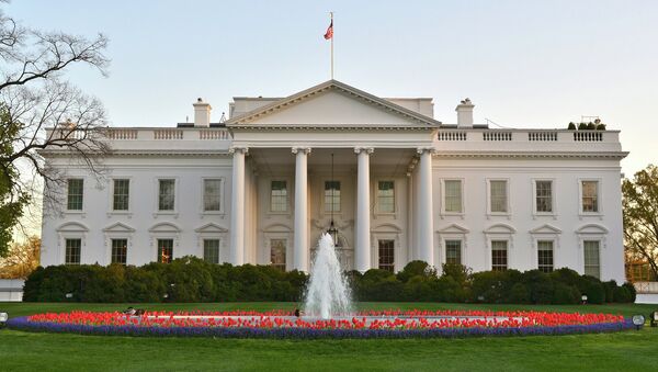 Many Americans regard the White House as the lair of a powerful being who can snap his fingers and make things happen. - Sputnik International