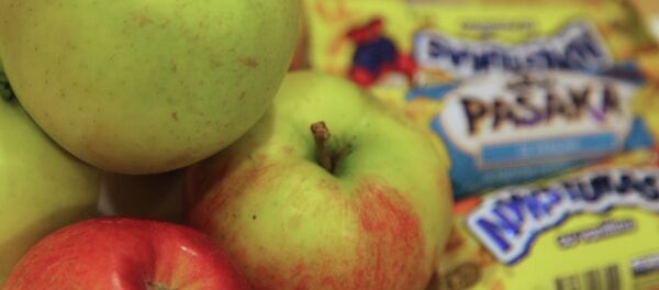 Russian Embargo: Challenges and Solutions for European Businesses Russian Embargo: Challenges and Solutions for European Businesses - Sputnik International