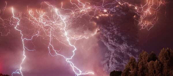 Best Wildlife Photos of 2014 - Sputnik International