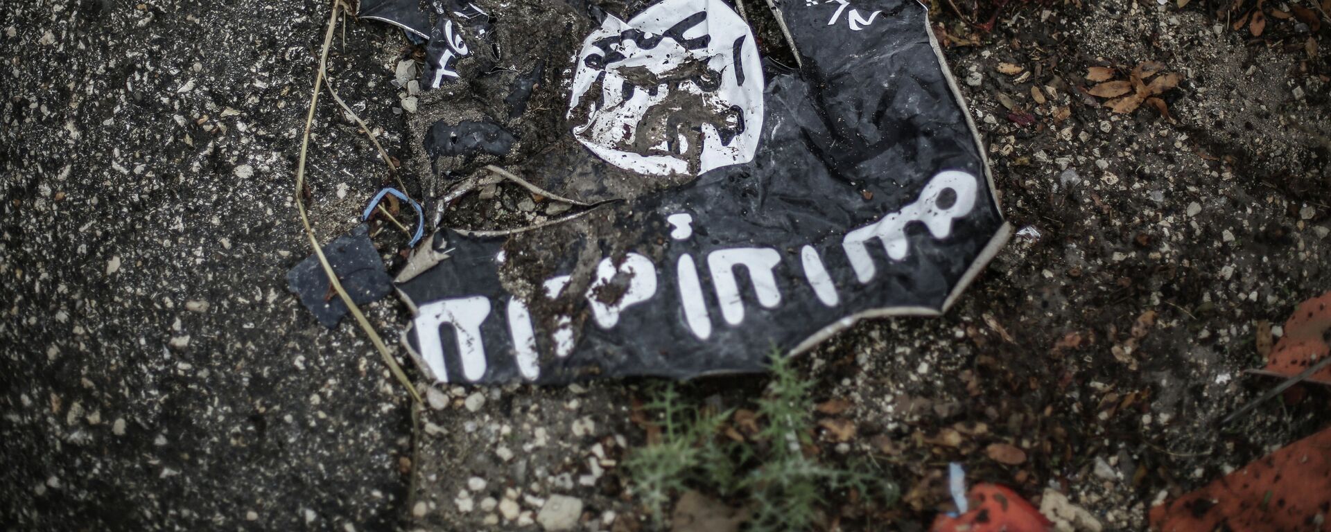 An ISIS flag. File photo - Sputnik International, 1920, 12.11.2021