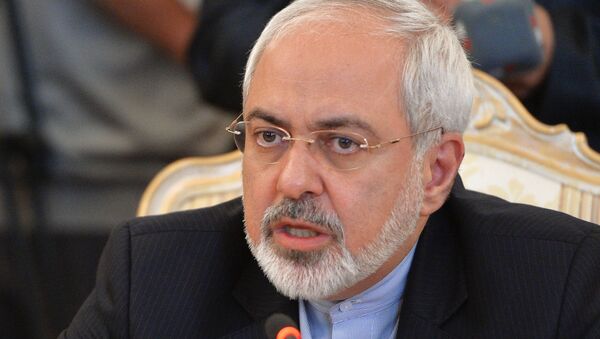 Iranian Foreign Minister Mohammad Javad Zarif said that Iran to sign final deal if its nuclear energy rights recognized - Sputnik International