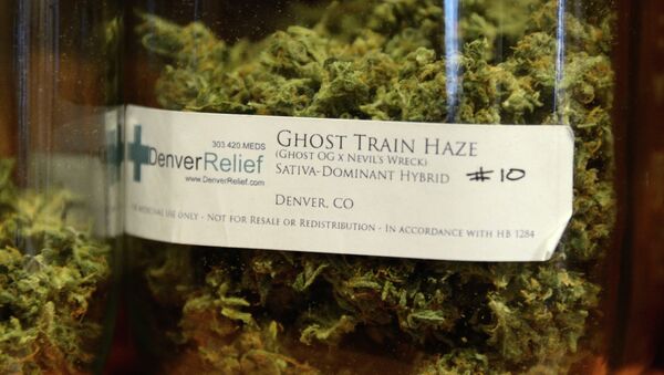 Denver Relief patients can choose from a range of different marijuana strains with colorful names like “Ghost Train Haze.” - Sputnik International