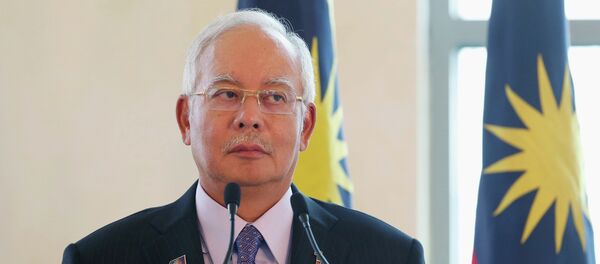 Malaysia's Prime Minister Najib Razak during a joint news conference with Dutch Prime Minister Mark Rutte in Putrajaya November 5, 2014 - Sputnik International