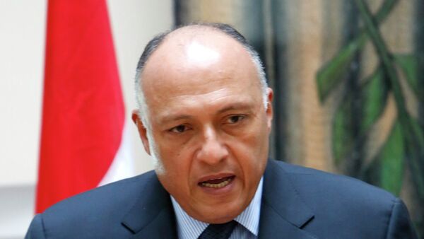 Egyptian foreign minister Sameh Shoukry, speaks to the media after a meeting with Cyprus' foreign minister Ioannis Kasoulides and Greek foreign minister Evangelos Venizelos at the foreign ministry in capital Nicosia, Cyprus, Wednesday, Oct. 29, 2014 - Sputnik International