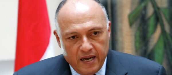 Egyptian foreign minister Sameh Shoukry Egyptian foreign minister Sameh Shoukry - Sputnik International