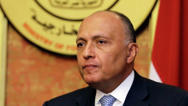 In this Friday, July 18, 2014, file photo, Egyptian Foreign Minister Sameh Shukri speaks during a news conference at the Egyptian Foreign Ministry in Cairo - Sputnik International