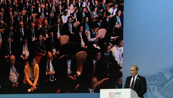Russian President Vladimir Putin speaks during the session entitled What Does the Asia Pacific Mean to Russia? at the APEC summit. - Sputnik International