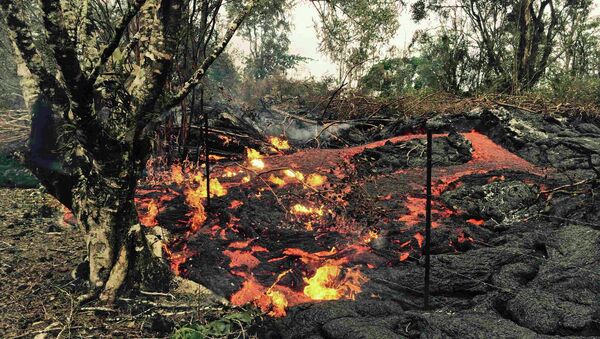 A small breakout of lava from the Kilauea Volcano pushes past a fence in this U.S. Geological Survey (USGS) handout photo taken near the village of Pahoa, Hawaii, November 6, 2014. - Sputnik International