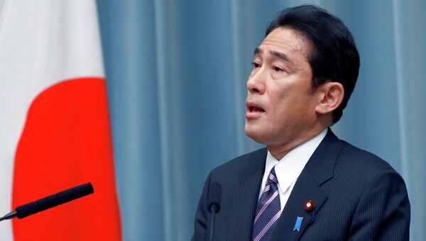 Foreign Minister Fumio Kishida speaks during a press conference at the prime minister's official residence in Tokyo, Wednesday, Sept. 3, 2014 - Sputnik International
