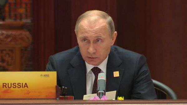 Putin Warns Against Division of APEC Into Separate Competing Groups - Sputnik International
