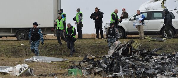 Dutch experts work at Malaysia Airlines Flight MH17 crash site. Dutch experts work at Malaysia Airlines Flight MH17 crash site. - Sputnik International