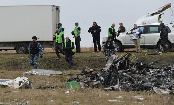 Investigating the Tragedy: Dutch Experts Clearing MH17 Crash Site - Sputnik International