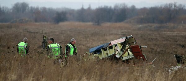 MH17 flight recovery team members examine one of the areas of the Malaysia Airlines Flight 17 plane crash MH17 flight recovery team members examine one of the areas of the Malaysia Airlines Flight 17 plane crash - Sputnik International