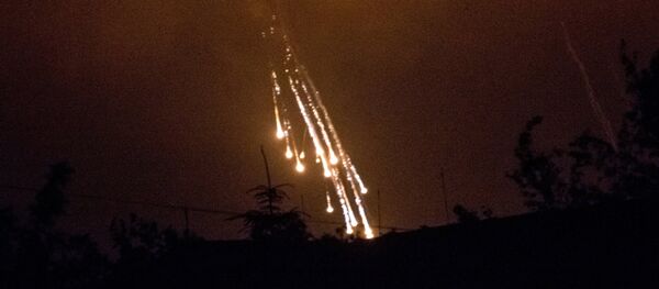 The usage of prohibited weaponry in southeastern Ukraine must be investigated, the Russian Foreign Ministry human rights ombudsman insists. - Sputnik International