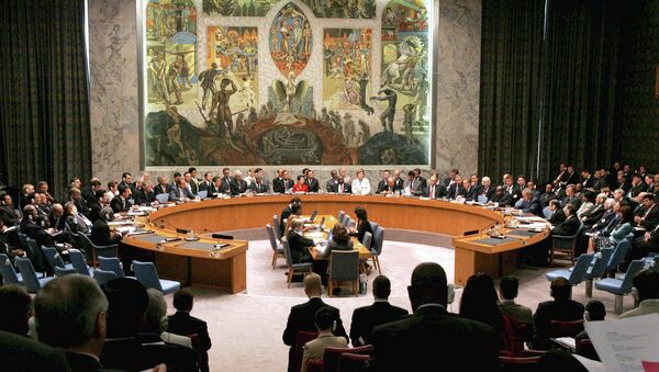 UN Security Council session - Sputnik International