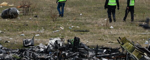 MH17 flight recovery team members examine one of the areas of the Malaysia Airlines Flight 17 plane crash in the village of Hrabove, Donetsk region, eastern Ukraine Tuesday, Nov. 11, 2014 - Sputnik International
