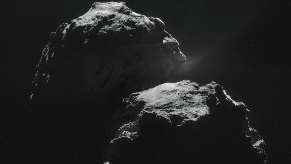The picture of a comet of Churyumov-Gerasimenko taken by the Rosette spacecraft (Rosetta). November 11, 2014 - Sputnik International