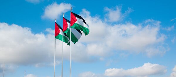 Spain could recognize Palestine as a sovereign state if it facilitated negotiations between Israel and Palestine Spain could recognize Palestine as a sovereign state if it facilitated negotiations between Israel and Palestine - Sputnik International