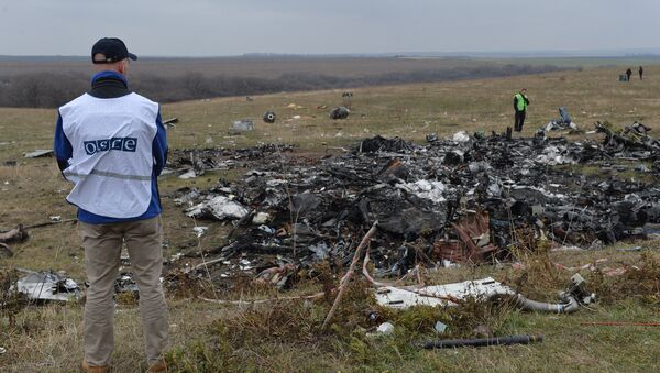 Dutch experts and OSCE representatives at the Malaysia Airlines Flight MH17 Amsterdam - Kuala Lumpur crash site. - Sputnik International