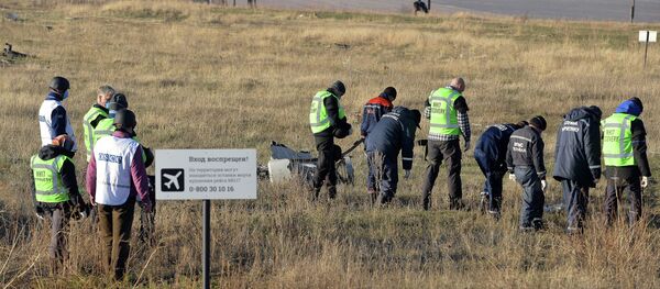 OSCE experts examine Malaysian aircraft crash site OSCE experts examine Malaysian aircraft crash site - Sputnik International