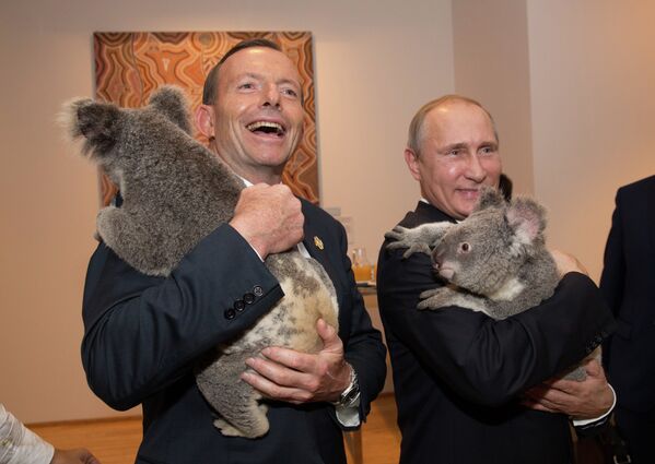 G20 Summit in Brisbane: Koala Diplomacy in Pictures - Sputnik International