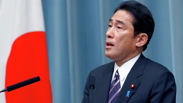 Foreign Minister Fumio Kishida speaks during a press conference at the prime minister's official residence in Tokyo - Sputnik International
