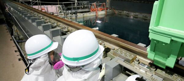 Fukushima has six reactors, three of which were offline when the disaster hit the plant on March 11, 2011 - Sputnik International
