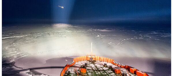 The Arctic Exhibition at the Multimedia Art Museum, Moscow - Sputnik International