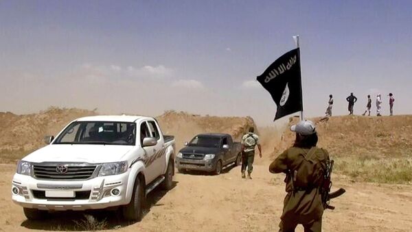 Islamic State militants seized Baiji during their blitz offensive in June. - Sputnik International