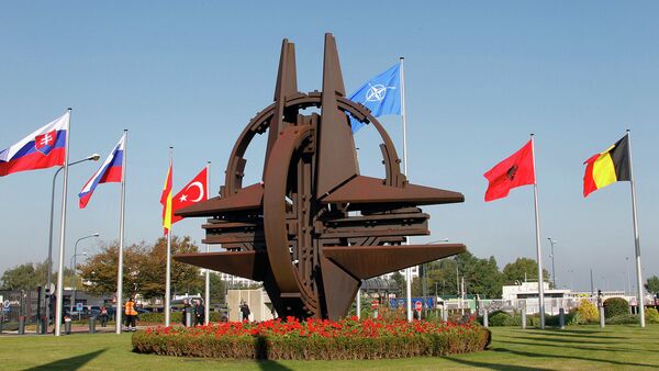 Decision on NATO membership up to Ukraine: white house - Sputnik International