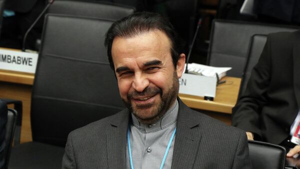 Iran's Ambassador to the International Atomic Energy Agency, IAEA, Reza Najafi - Sputnik International