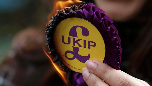 United Kingdom Independence Party (UKIP) rosette - Sputnik International