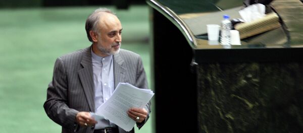 Head of Iran's Atomic Energy Organization, Ali Akbar Salehi Head of Iran's Atomic Energy Organization, Ali Akbar Salehi - Sputnik International