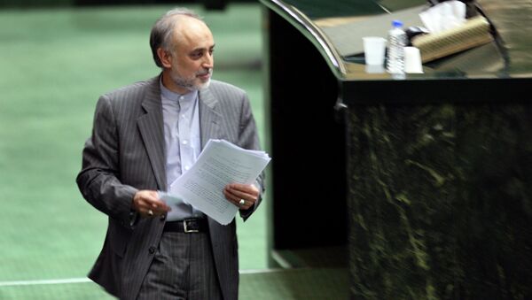 Head of Iran's Atomic Energy Organization, Ali Akbar Salehi - Sputnik International
