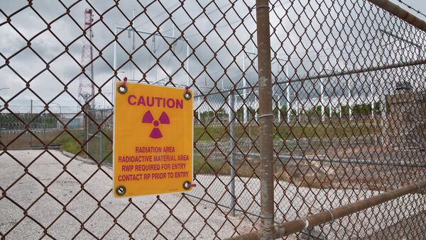 Nuclear Plant Security - Sputnik International