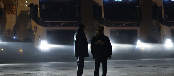 The eighth automobile column with humanitarian freight on the Southeast of Ukraine - Sputnik International