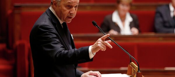 French Foreign Minister Laurent Fabius delivers a speech during a debate on Palestine status at the National Assembly in Paris November 28, 2014 French Foreign Minister Laurent Fabius delivers a speech during a debate on Palestine status at the National Assembly in Paris November 28, 2014 - Sputnik International