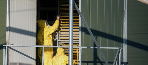 Experts wearing protection suits examine trays used to transport chicks at a poultry farm, where a highly contagious strain of bird flu Experts wearing protection suits examine trays used to transport chicks at a poultry farm, where a highly contagious strain of bird flu - Sputnik International