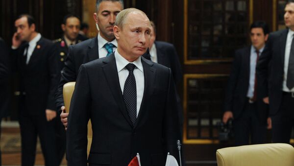 December 1, 2014. Russian President Vladimir Putin takes part in the fifth meeting of the High-Level Russian-Turkish Cooperation Council in Ankara. - Sputnik International