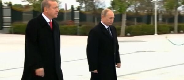 Putin Welcomed by Turkish President Recep Erdogan at Ankara Airport Putin Welcomed by Turkish President Recep Erdogan at Ankara Airport - Sputnik International