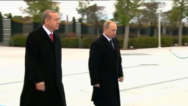 Putin Welcomed by Turkish President Recep Erdogan at Ankara Airport - Sputnik International