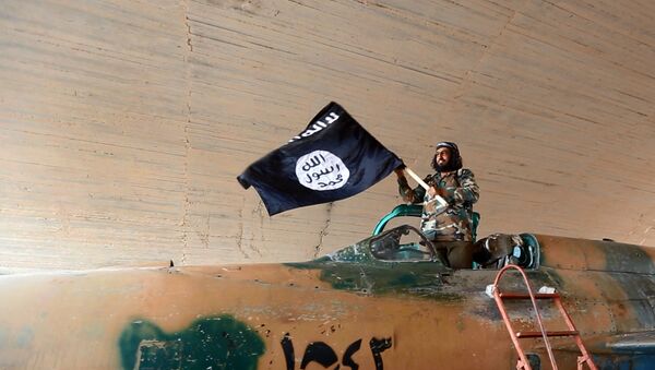 Fighter of the Islamic State group waving their flag from inside a captured government fighter jet following the battle for the Tabqa air base, in Raqqa, Syria - Sputnik International